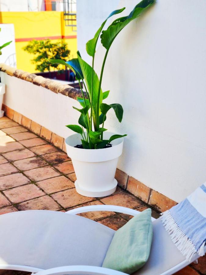 Loft & Private Rooftop With Bbq Sevilha Exterior foto